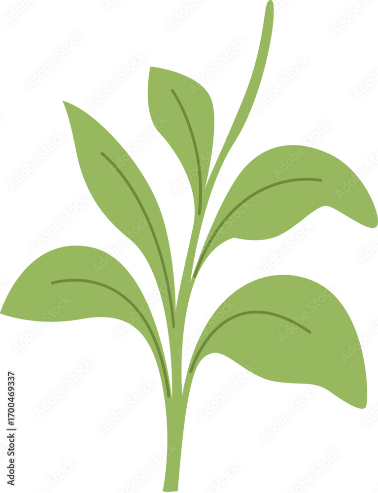 Naklejka premium green plant isolated on white