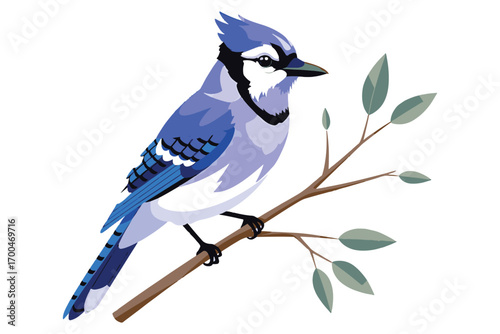 Illustration of a blue jay perched on a branch with green leaves isolated on white background, showcasing its vibrant plumage and natural habitat vector illustration