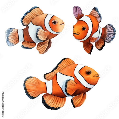 A minimal layout, a Watercolor painting of clownfish set, delicately hand-painted with artistic brush strokes, white background, vector EPS. vector illustration