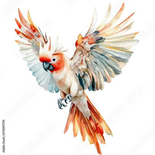 A nice painting of a cockatoo bird set, Simple Illustration, watercolor style, minimal yet artistic elements for creative designs. EPS format, isolated on transparent background