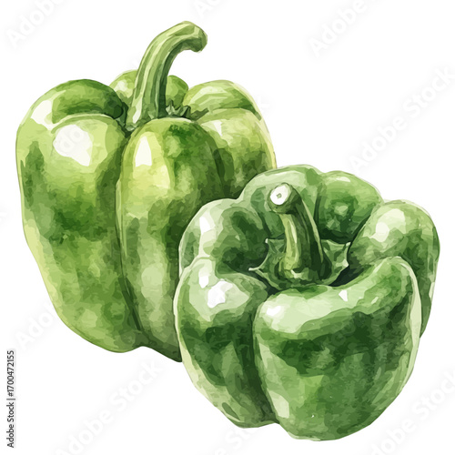 A nice painting of a green bell pepper set, Simple Illustration, watercolor style, minimal yet artistic elements for creative designs. EPS format, isolated on transparent background