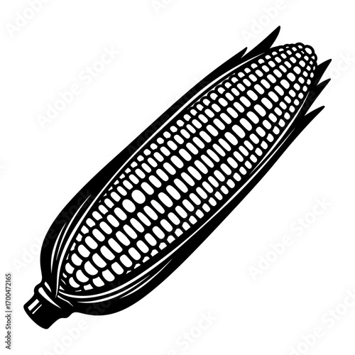 Corn cob silhouette isolated on white background