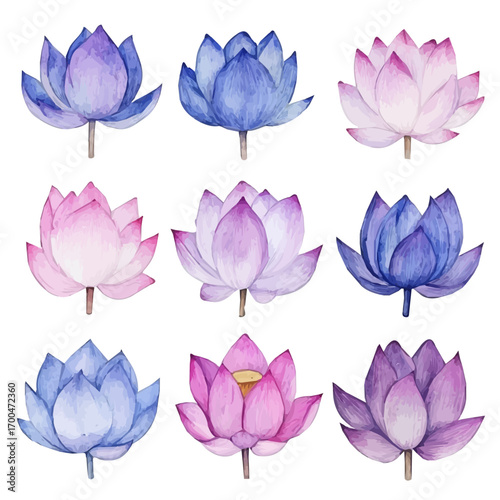 A minimal layout, Watercolor painting of lotus petals collection, delicately hand-painted with artistic brush strokes, white background, vector EPS. vector flower illustration