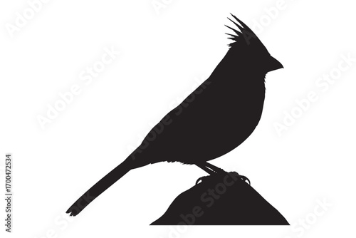 Silhouette of a cardinal bird isolated on white background, perched on a rock, showcasing its distinctive crest and elegant form in a monochromatic composition vector illustration