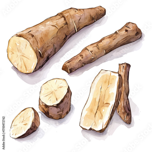 Watercolor wild yam root set, softly painted and separated on a white background, is crafted as a minimal yet artistic element for creative designs. EPS format