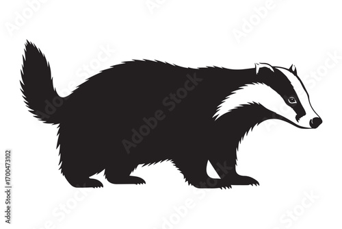 A captivating badger silhouette isolated on white background, showcasing its distinctive markings and powerful build in a striking monochrome composition vector illustration