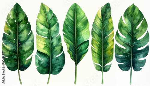 Lush Monstera and Palm Leaf Art. Greenery Botanical Leaf Watercolor. Tropical Green Leaf Painting. Monstera and Tropical Leaves Design. Elegant Tropical Leaf Artwork. Vibrant Nature-Inspired Leaf Art
