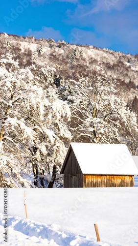 Snowy winter landscape with a rustic cabin