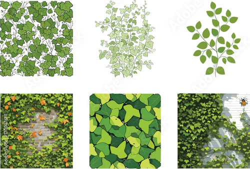 Ivy plant vector set, stylized foliage illustrations, climbing vine artwork, brick wall greenery, decorative leaf patterns, nature-inspired design elements