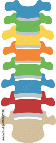 Minimalist Spine Anatomy Illustration with Colorful Vertebrae Segments, Modern Flat Style, and Abstract Medical Diagram for Healthcare, Education, and Orthopedic Study Concepts