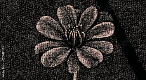Floral stippling art: A monochromatic flower with detailed pointillism technique