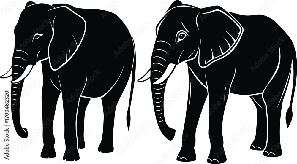 Fototapeta premium Elegant Elephant Silhouettes