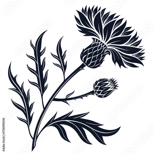 Stylized Scottish Thistle Flower and Bud Silhouette.