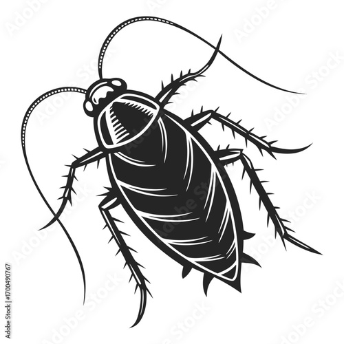 Vintage Cockroach Pest Insect Illustration.