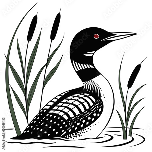 Common Loon Bird in Water with Cattails Illustration.