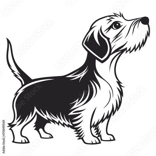 Cute Shaggy Dog Vector Illustration Looking Up.