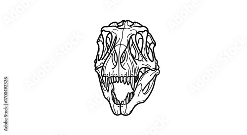 Detailed skeletal head of a tyrannosaurus rex, showcasing its formidable anatomy