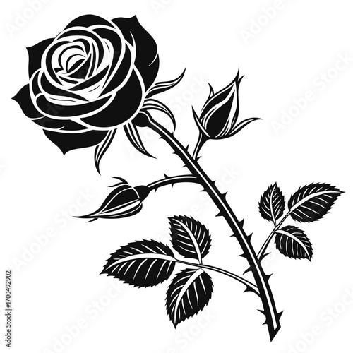 Elegant Black and White Rose Flower Vector Illustration.