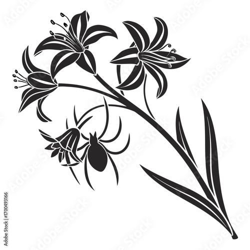 Elegant Black Lily Flowers with Spider Silhouette.