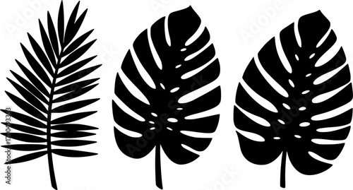 Laser cutting template of tropical leaves, jungle branches. Exotic split foliage of palm isolated on white Vector silhouette of elements. Set for wood carving, paper cut, stamp for die cut