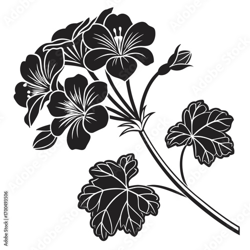 Elegant Geranium Flower Silhouette Vector Illustration 1.