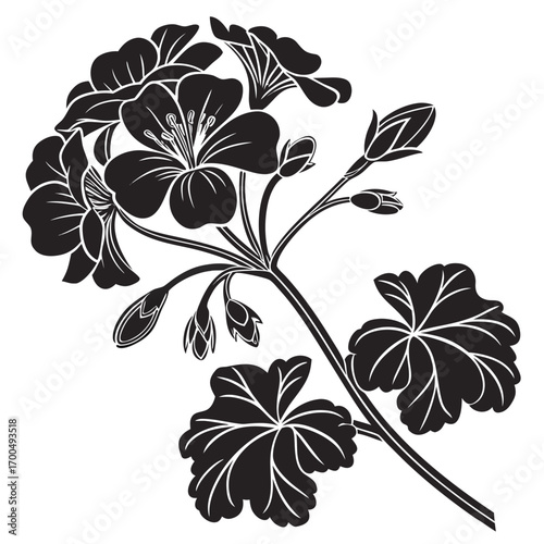 Elegant Geranium Flower Silhouette Vector Illustration 2.