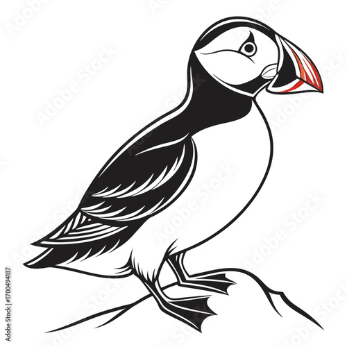 Stylized illustration of an atlantic puffin bird with a black and white body and colorful beak