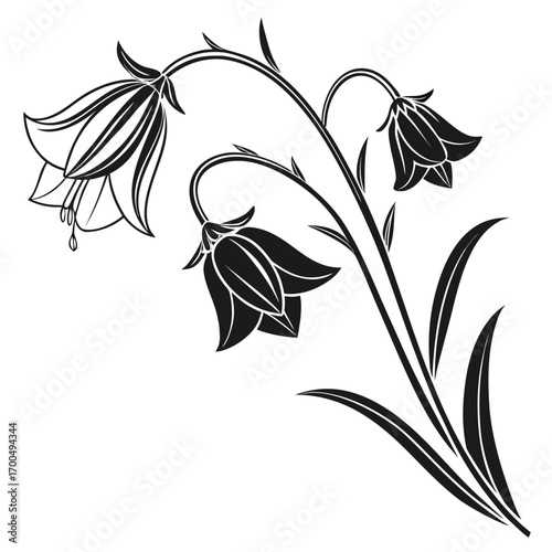 Elegant black and white bellflower floral silhouette