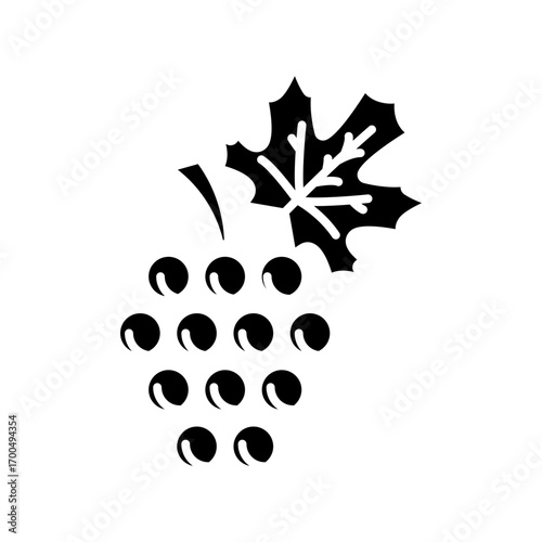 Grapes bunch icon