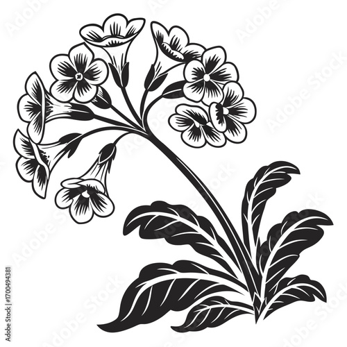 Black and white floral illustration with bell shaped flowers and leaves