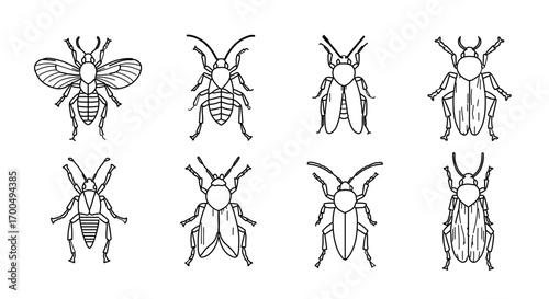 Collection of insect icons, showcasing diverse species and anatomical details