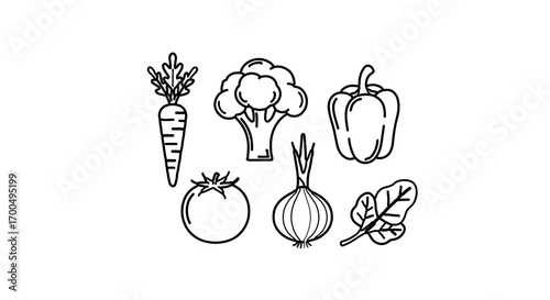 Vegetable outline, featuring carrot, broccoli, pepper, tomato, onion, and spinach