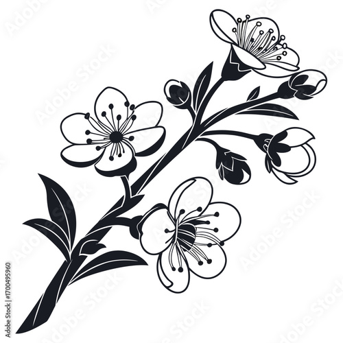 Stylized Cherry Blossom Branch Vector Illustration.