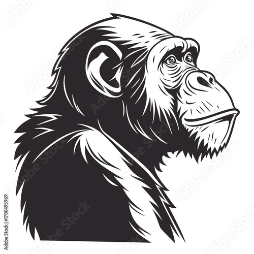 Stylized Chimpanzee Head Profile Vector Illustration.