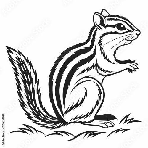 Stylized Chipmunk Vector Illustration on White.