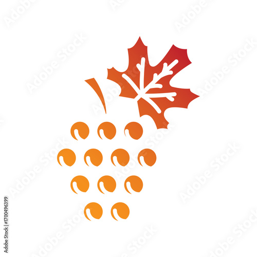Grapes bunch icon