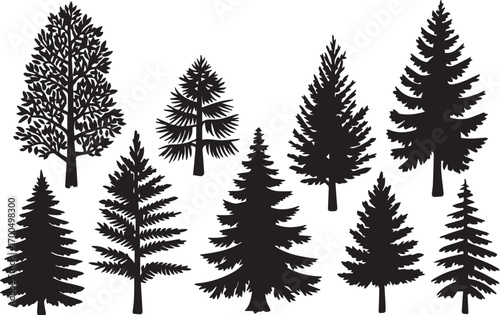 editable douglas fir tree silhouettes ai eps jpeg png vector art for nature forest themes and botanical design resources