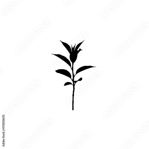 Minimalist Flower Silhouette