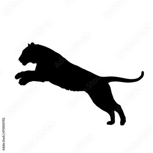 Jumping Panther Silhouette