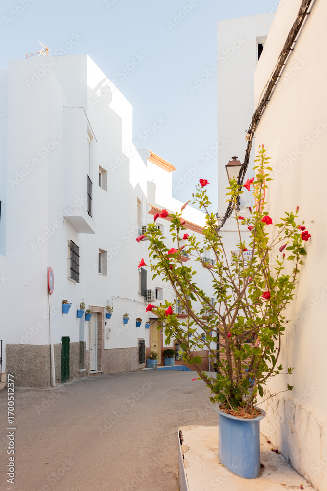 Fototapeta premium Conil de la Frontera, Cadiz, Andalusia, Spain. 6 September 2025. Traditional Andalusian street with flowerpots