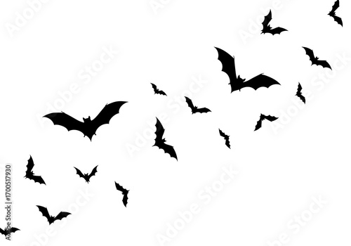 Silhouette of a flock of bats flying in the night sky