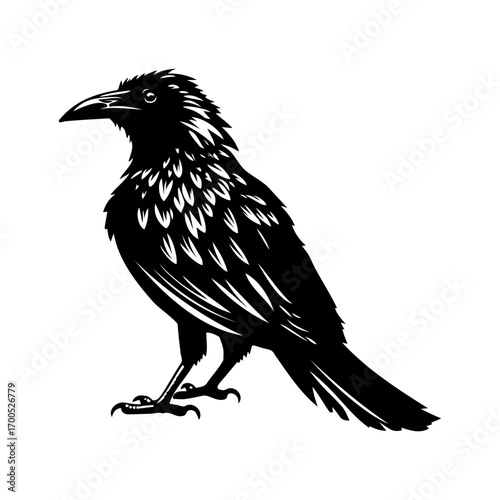 Standing Crow Black and White Illustration