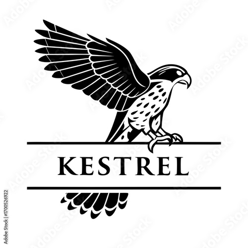 Black and white kestrel bird emblem with text kestrel