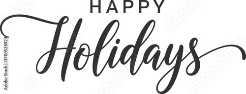 Happy Holidays Elegant Script Text, Celebratory Typography on White Background