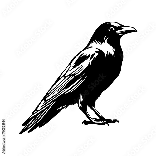 Standing Crow Black and White Illustration