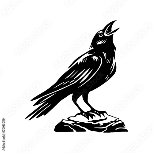 Raven Standing on Rock Illustration