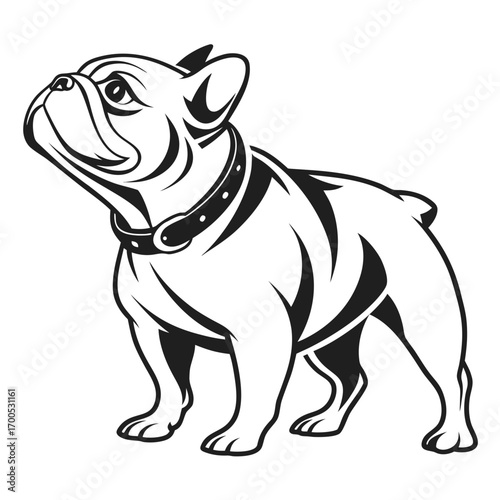 Stylized black and white french bulldog standing proudly