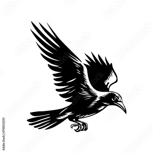 Flying Crow Black and White Illustration
