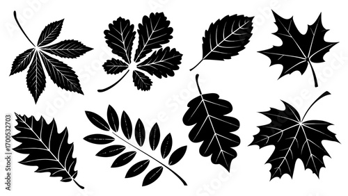 Autumn Leaf Silhouettes autumn leaves fall foliage
