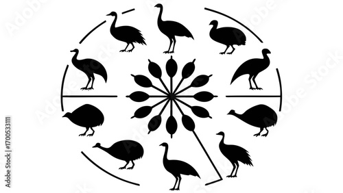 Exotic Flightless Birds Collection exotic birds silhouette